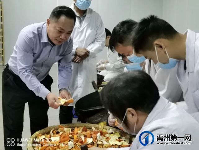 禹州非遗进企业 弘扬中医药文化 禹州非遗进企业 弘扬中医药文化