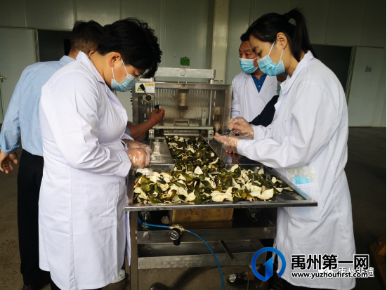 禹州非遗进企业 弘扬中医药文化 禹州非遗进企业 弘扬中医药文化