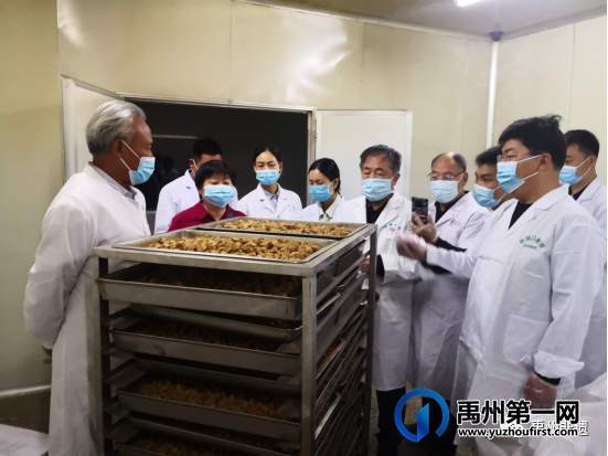 禹州非遗进企业 弘扬中医药文化 禹州非遗进企业 弘扬中医药文化