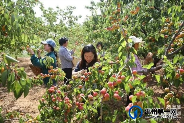 禹州无梁镇一日游精品线路 禹州无梁镇一日游精品线路
