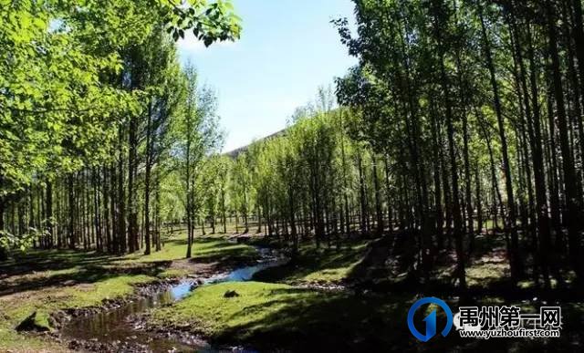 禹州400亩大樱桃基地即将开园!入园大樱桃免费吃... 禹州400亩大樱桃基地即将开园!入园大樱桃免费吃...