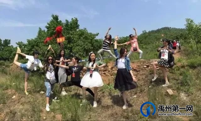 5月22日禹州鸠山闵庄村第七届杏果采摘旅游文化节即将香甜袭来 5月22日禹州鸠山闵庄村第七届杏果采摘旅游文化节即将香甜袭来