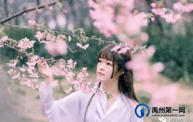 5月22日禹州鸠山闵庄村第七届杏果采摘旅游文化节即将香甜袭来 5月22日禹州鸠山闵庄村第七届杏果采摘旅游文化节即将香甜袭来