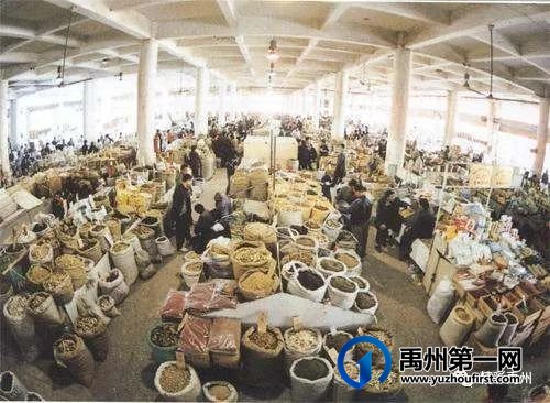 禹州市长陈涛接受河南卫视采访:推动禹州中医药产业大发展! 禹州市长陈涛接受河南卫视采访:推动禹州中医药产业大发展!