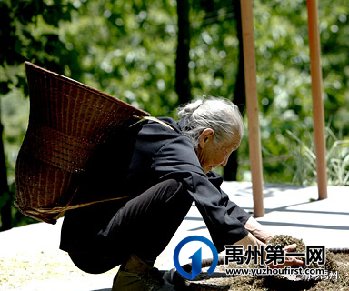 禹州市长陈涛接受河南卫视采访:推动禹州中医药产业大发展! 禹州市长陈涛接受河南卫视采访:推动禹州中医药产业大发展!