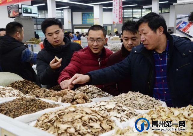 禹州市长陈涛接受河南卫视采访:推动禹州中医药产业大发展! 禹州市长陈涛接受河南卫视采访:推动禹州中医药产业大发展!