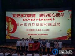 禹州：学习百年党史 汲取奋进力量