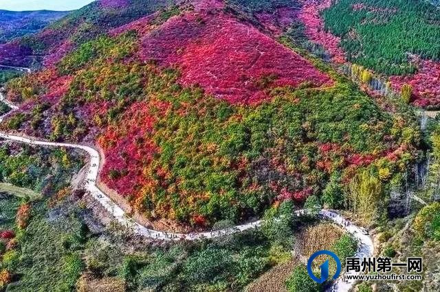 仙风古韵话天垌 仙风古韵话天垌