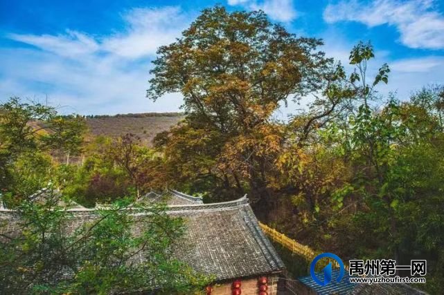 仙风古韵话天垌 仙风古韵话天垌