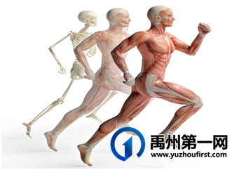 禹州市二院中医康复特色技术—— 定点介入疗法 禹州市二院中医康复特色技术—— 定点介入疗法