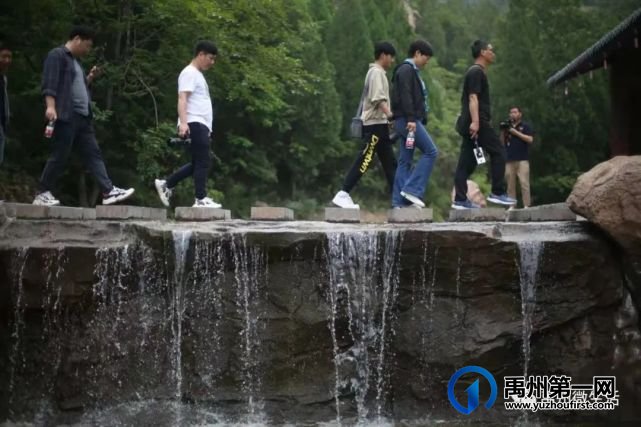 禹州杏采摘旅游节5月22日开幕!鸠山镇闵庄村 禹州杏采摘旅游节5月22日开幕!鸠山镇闵庄村