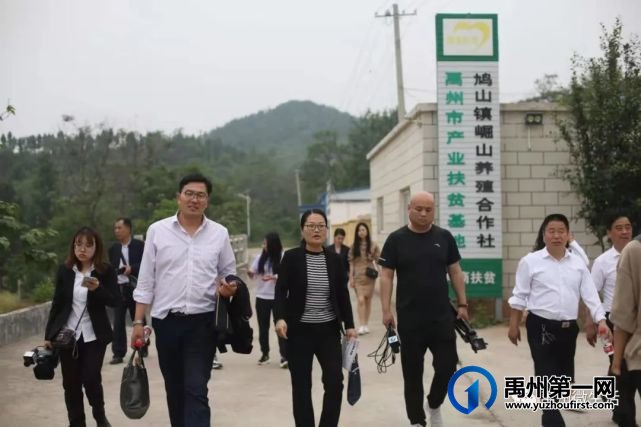 禹州杏采摘旅游节5月22日开幕!鸠山镇闵庄村 禹州杏采摘旅游节5月22日开幕!鸠山镇闵庄村