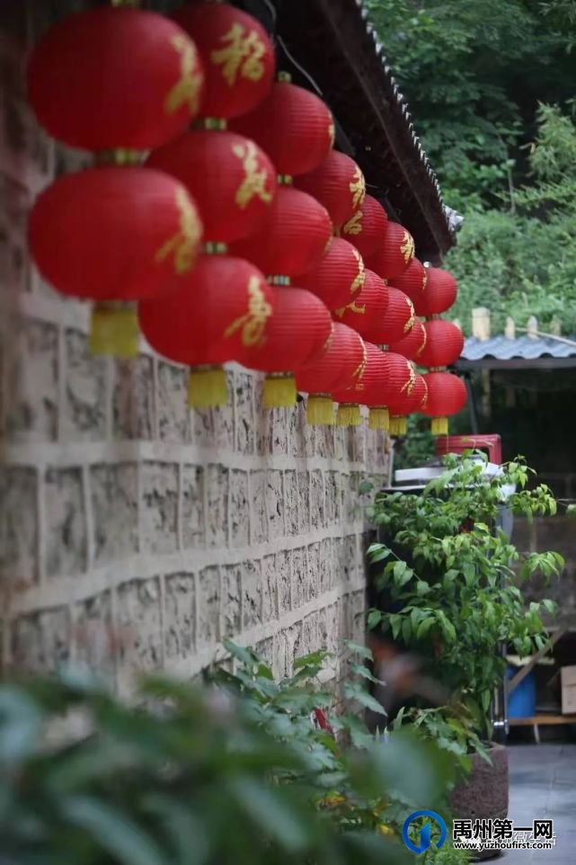 禹州杏采摘旅游节5月22日开幕!鸠山镇闵庄村 禹州杏采摘旅游节5月22日开幕!鸠山镇闵庄村