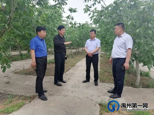许昌市民政局局长陈志远调研指导我市文明殡葬新风工作 许昌市民政局局长陈志远调研指导我市文明殡葬新风工作