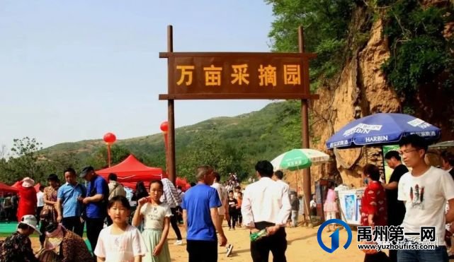 禹州具茨山第二届金杏采摘节暨党的知识竞赛 禹州具茨山第二届金杏采摘节暨党的知识竞赛