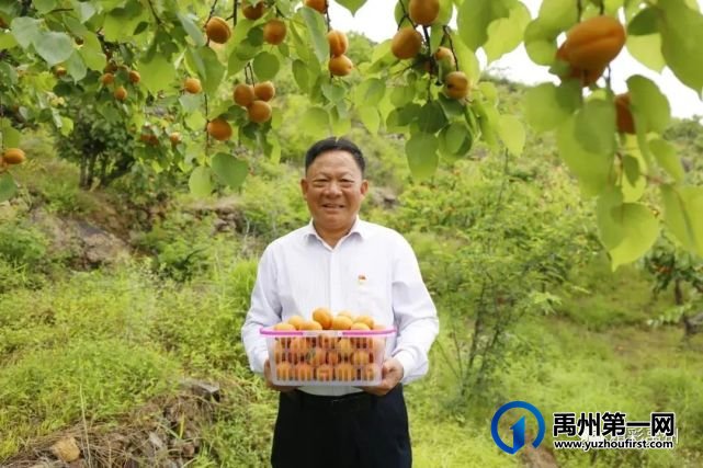 禹州具茨山第二届金杏采摘节暨党的知识竞赛 禹州具茨山第二届金杏采摘节暨党的知识竞赛