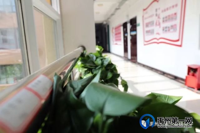 禹州市一高附属学校校园文化掠影 禹州市一高附属学校校园文化掠影