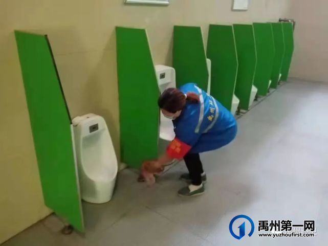 禹州环卫开展夏季病媒生物防制 营造洁净健康生活环境 禹州环卫开展夏季病媒生物防制 营造洁净健康生活环境