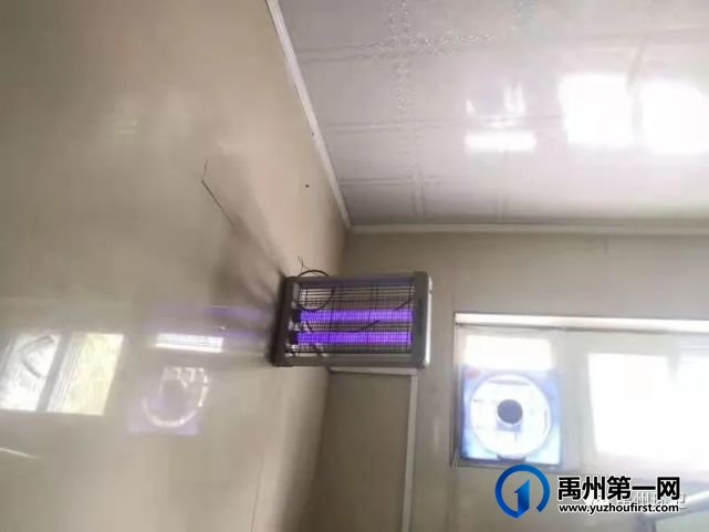 禹州环卫开展夏季病媒生物防制 营造洁净健康生活环境 禹州环卫开展夏季病媒生物防制 营造洁净健康生活环境