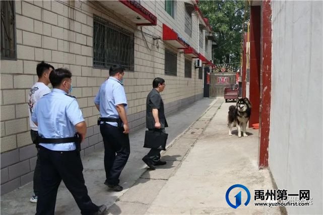 拘传9名被执行人,扣押3台车辆,禹州法院夏季集中执行行动开始了! 拘传9名被执行人,扣押3台车辆,禹州法院夏季集中执行行动开始了!