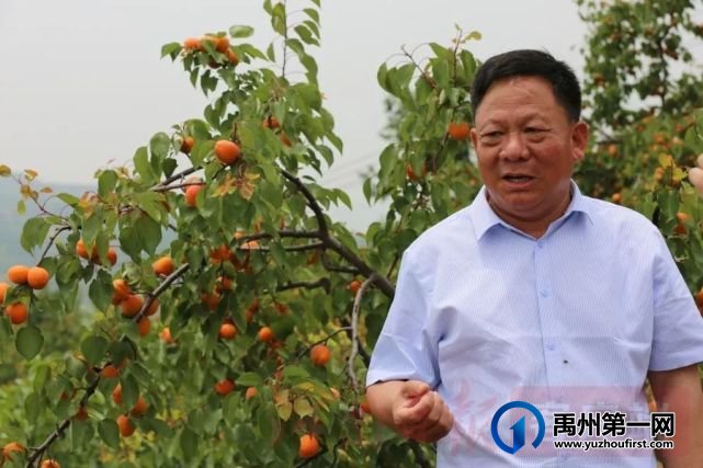 网眼看禹州:明天正式开幕,向“杏”福出发 网眼看禹州:明天正式开幕,向“杏”福出发