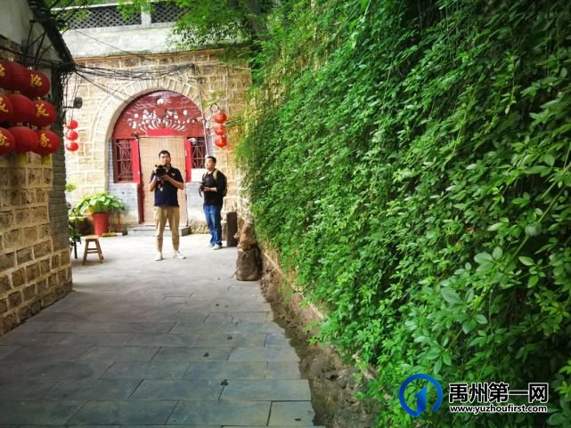 网眼看禹州:明天正式开幕,向“杏”福出发 网眼看禹州:明天正式开幕,向“杏”福出发