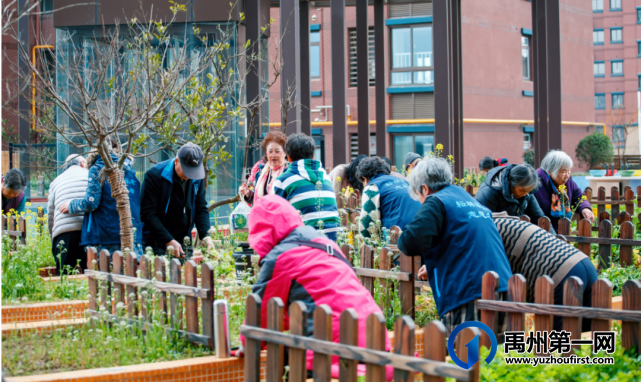 禹州润泓钧樾府|禹州康养住区 您的25小时美好生活家 禹州润泓钧樾府|禹州康养住区 您的25小时美好生活家
