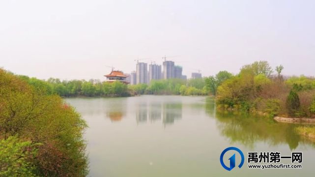禹州林溪尚院6号楼开盘倒计时!错过再无 禹州林溪尚院6号楼开盘倒计时!错过再无