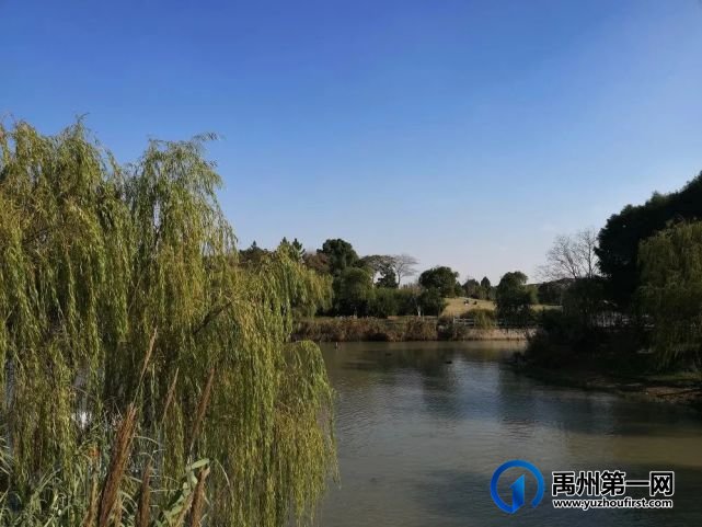 禹州林溪尚院6号楼开盘倒计时!错过再无 禹州林溪尚院6号楼开盘倒计时!错过再无