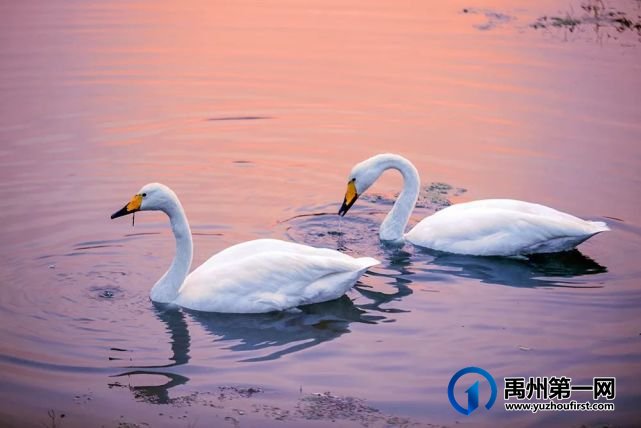 关于举办禹州市“人与自然 和谐共生”“锦信杯”环保摄影大赛的通知 关于举办禹州市“人与自然 和谐共生”“锦信杯”环保摄影大赛的通知