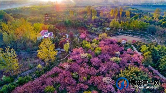 关于举办禹州市“人与自然 和谐共生”“锦信杯”环保摄影大赛的通知 关于举办禹州市“人与自然 和谐共生”“锦信杯”环保摄影大赛的通知