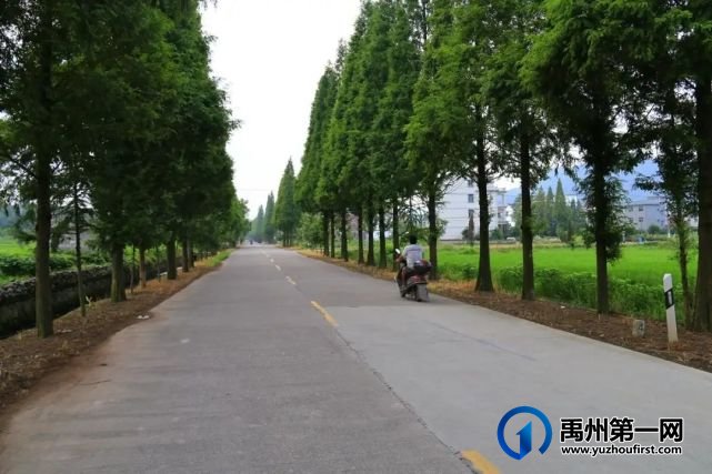 禹州交通将迎来全面发展!包含铁路、城市公路、县乡道路、民航... 禹州交通将迎来全面发展!包含铁路、城市公路、县乡道路、民航...