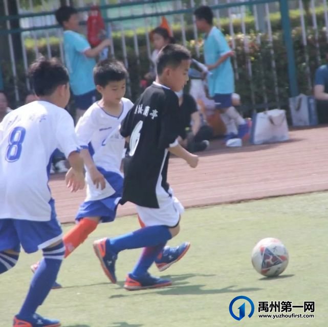 禹州绿城蘭亭杯禹州青少年足球赛火热开赛! 禹州绿城蘭亭杯禹州青少年足球赛火热开赛!