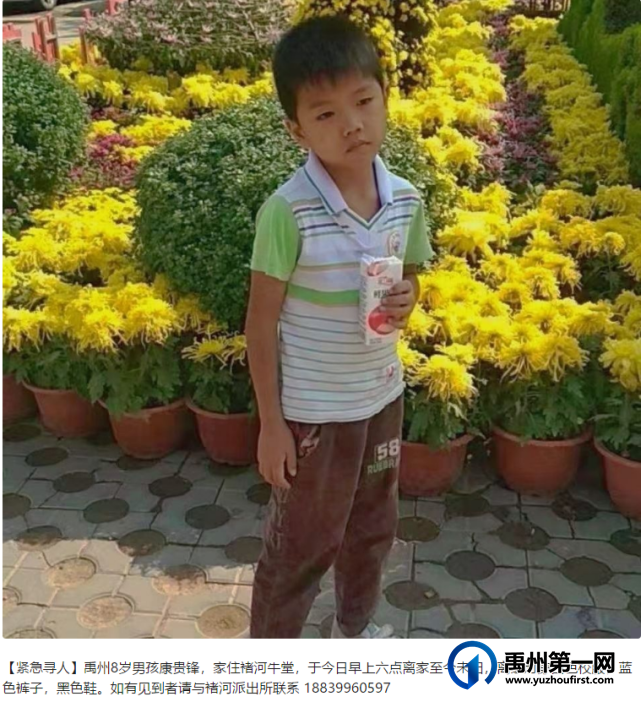 紧急寻人!禹州八岁男孩清晨离家未归! 紧急寻人!禹州八岁男孩清晨离家未归!