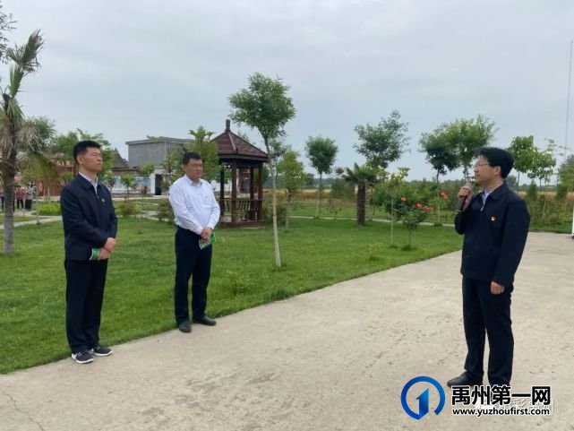 第一次乡村振兴观摩,禹州这些地方“出圈”! 第一次乡村振兴观摩,禹州这些地方“出圈”!