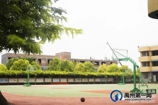禹州九方格启明学校2021秋季招生简章 禹州九方格启明学校2021秋季招生简章