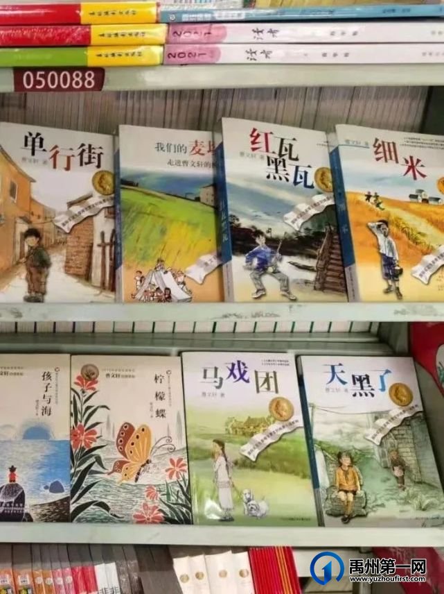 国际安徒生大奖国内首位得主曹文轩老师做客禹州啦 国际安徒生大奖国内首位得主曹文轩老师做客禹州啦