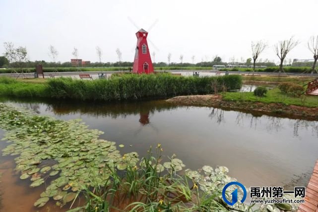 投资1个亿!禹州颍河湿地风光如画 投资1个亿!禹州颍河湿地风光如画