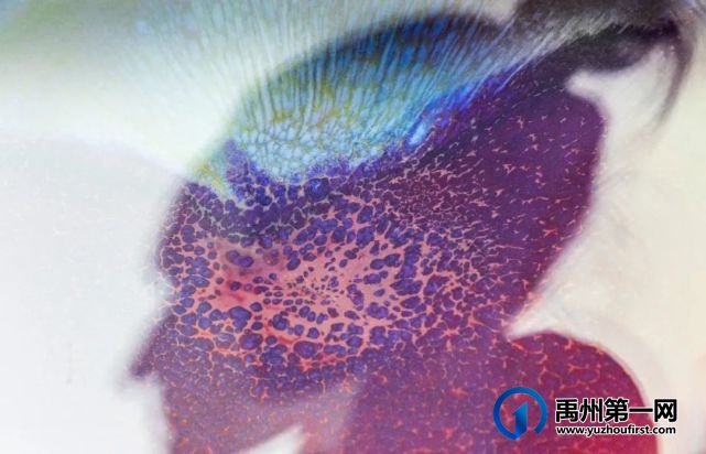 禹州神垕古镇瓷艺创意摄影作品也太好看了吧! 禹州神垕古镇瓷艺创意摄影作品也太好看了吧!