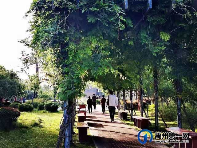 禹州风雨廊桥南头游园掠影!
