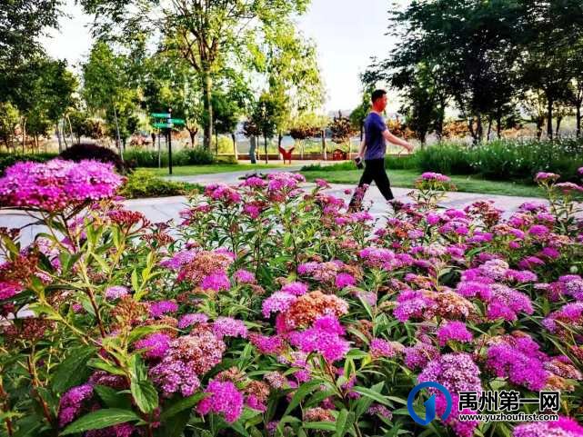 禹州风雨廊桥南头游园掠影!