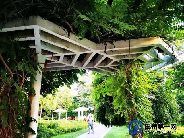 禹州风雨廊桥南头游园掠影!