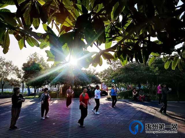 禹州风雨廊桥南头游园掠影!