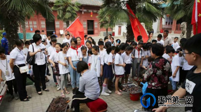 禹州中医药文化博物馆与钧台小学联合进行爱国主义教育活动 禹州中医药文化博物馆与钧台小学联合进行爱国主义教育活动