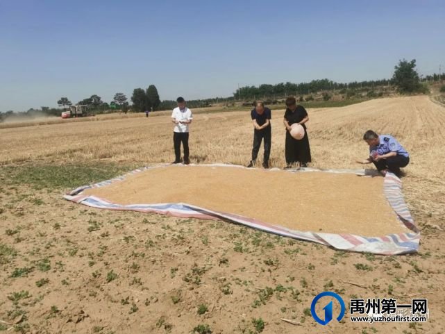 禹州市三夏机收会战全面铺开 禹州市三夏机收会战全面铺开