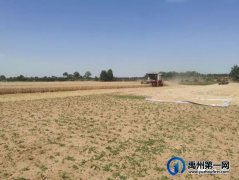 禹州市三夏机收会战全面铺开