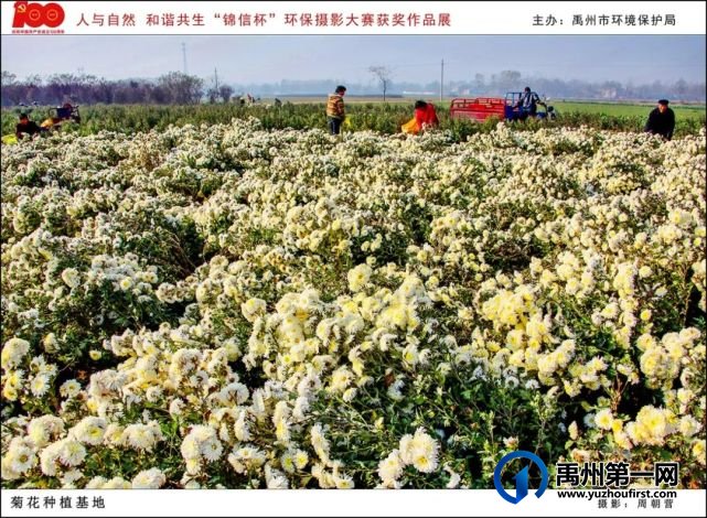 禹州市“人与自然 和谐共生”“锦信杯”环保摄影大赛部分获奖作品展示 禹州市“人与自然 和谐共生”“锦信杯”环保摄影大赛部分获奖作品展示