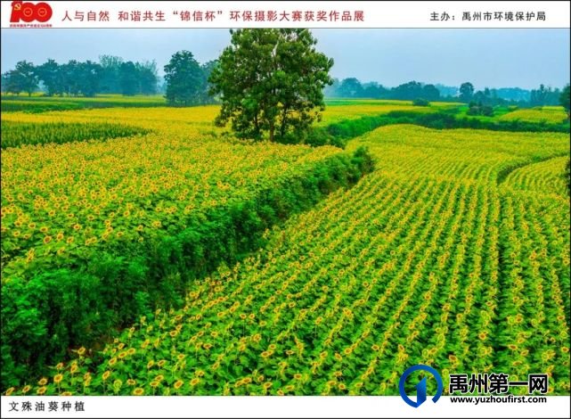 禹州市“人与自然 和谐共生”“锦信杯”环保摄影大赛部分获奖作品展示 禹州市“人与自然 和谐共生”“锦信杯”环保摄影大赛部分获奖作品展示