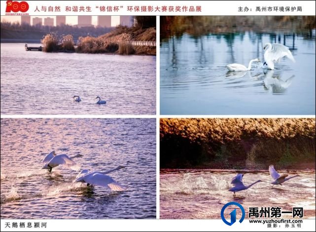 禹州市“人与自然 和谐共生”“锦信杯”环保摄影大赛部分获奖作品展示 禹州市“人与自然 和谐共生”“锦信杯”环保摄影大赛部分获奖作品展示