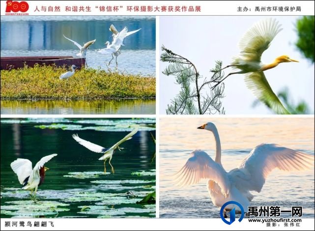 禹州市“人与自然 和谐共生”“锦信杯”环保摄影大赛部分获奖作品展示 禹州市“人与自然 和谐共生”“锦信杯”环保摄影大赛部分获奖作品展示